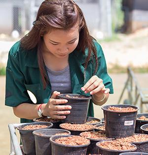 Soil and Crop Science image